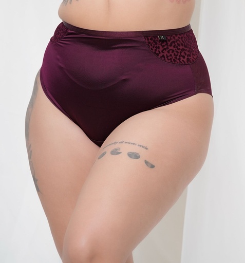 Scarlet Panty HighWaist